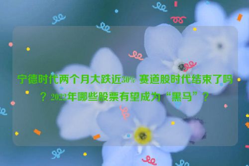 宁德时代两个月大跌近30% 赛道股时代结束了吗？2022年哪些股票有望成为“黑马”？