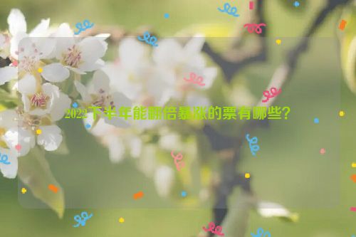 2022下半年能翻倍暴涨的票有哪些？