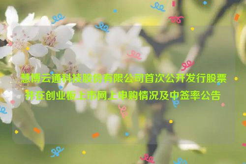 慧博云通科技股份有限公司首次公开发行股票并在创业板上市网上申购情况及中签率公告