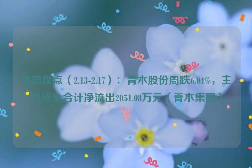 本周盘点（2.13-2.17）：青木股份周跌6.04%，主力资金合计净流出2051.08万元（青木集团）