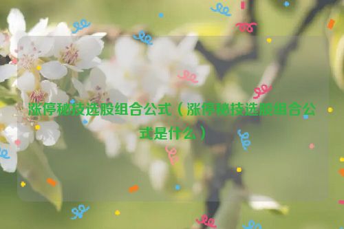 涨停秘技选股组合公式（涨停秘技选股组合公式是什么）