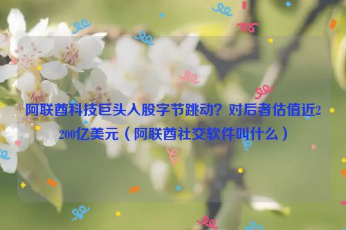 阿联酋科技巨头入股字节跳动？对后者估值近2200亿美元（阿联酋社交软件叫什么）