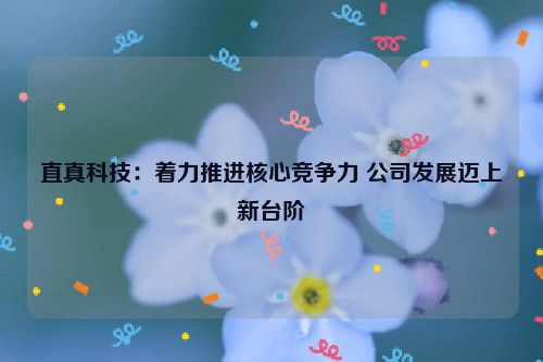 直真科技：着力推进核心竞争力 公司发展迈上新台阶